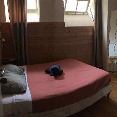 Hotel Des Cimes Люс-Сен-Совёр Экстерьер фото